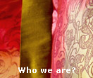 Who we are?