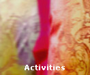 Activities