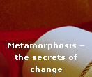 Metamorfzis  the secrets of change
