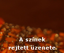 A sznek rejtett zenete