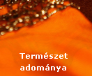 Termszet adomnya